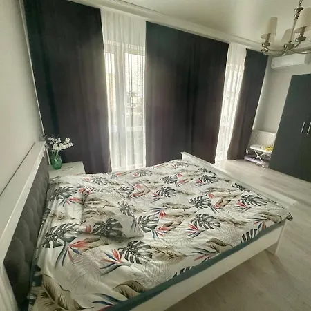 Salamandra ウージュホロド